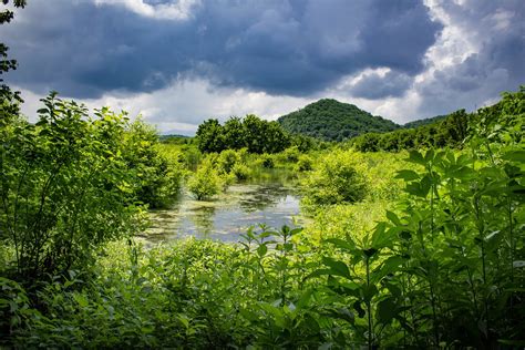 Seven islands state birding park - Located just 25 minutes from downtown Knoxville and easily accessible from Interstate 40, this peaceful park encompassed 413 acres along the French Broad River. …